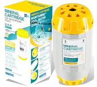 W28165 Cartouche minérale de rechange pour Nature2 A30 W28166 pour tous les systèmes de désinfectant de piscine hors sol A, Pro A Plus, pour piscine jusqu'à 30 000 gallons, 2704-010, 300379