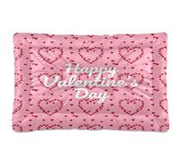 Waassud Happy Valentine's Day Tapis épais antidérapant et résistant à la mastication pour chiens et chats - Tapis de cage doux et lavable pour sol, canapé, voiture - 45,7 x 61 cm