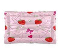 Waassud Lot de 2 tapis épais antidérapants pour chien et chat Motif fraises avec fleurs - Doux et lavable - Pour sol, canapé, voiture - 91,4 x 61 cm