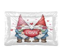 Waassud Lovely Gnomes Tapis épais antidérapant et résistant à la mastication pour animaux domestiques doux et lavable pour sol, canapé, voiture, 91,4 x 61 cm