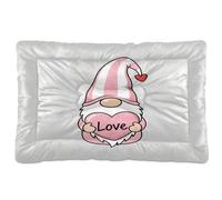 Waassud Nain avec cœur épais tapis antidérapant et résistant à la mastication pour animaux domestiques, chiens, chats, tapis de cage doux et lavable pour sol, canapé, voiture, 91,4 x 61 cm