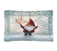 Waassud Nain avec cœur épais tapis antidérapant et résistant à la mastication pour animaux domestiques, chiens, chats, tapis de cage doux et lavable pour sol, canapé, voiture, 91,4 x 61 cm