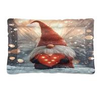 Waassud Nain avec un cœur épais tapis antidérapant et résistant à la mastication pour animaux domestiques, chiens, chats, tapis de cage doux et lavable pour sol, canapé, voiture, 45,7 x 61 cm