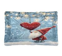 Waassud Nain mignon avec cœur, tapis épais antidérapant et résistant à la mastication pour animaux domestiques, chiens, chats, tapis de cage doux et lavable pour sol, canapé, voiture, 45,7 x 61 cm