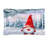 Waassud Nain mignon - Tapis épais antidérapant et résistant à la mastication pour animaux domestiques - Doux et lavable - Pour sol, canapé, voiture - 45,7 x 61 cm