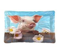 Waassud Pretty Little Pig - Lit épais antidérapant et résistant à la mastication pour animaux de compagnie, chiens, chats, doux et lavable - Tapis de cage pour sol, canapé et voiture, 91,4 x 61 cm