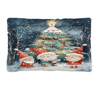 Waassud Tapis épais antidérapant et résistant à la mastication avec trois nains mignons pour animaux domestiques, chiens, chats, tapis de cage pour sol, canapé, voiture, 91,4 x 61 cm