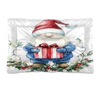 Waassud Tapis épais antidérapant et résistant à la mastication, motif nain mignon à l'aquarelle, doux et lavable pour sol, canapé, voiture, 45,7 x 61 cm
