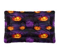 Waassud Tapis épais antidérapant et résistant à la mastication pour chiens et chats - Motif citrouilles nocturnes d'Halloween - Tapis de cage doux et lavable pour sol, canapé, voiture - 45,7 x 61 cm