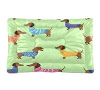 Waassud Tapis épais antidérapant et résistant à la mastication pour chiens et chats, motif teckel, tapis de cage doux et lavable pour sol, canapé, voiture, 91,4 x 61 cm