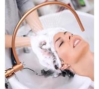 WaaYb Cadre de Circulation d'eau Head Spa, Support de Fixation de Bassin de Cascade de Circulation d'eau de Salon de Coiffure, Conception d'arc à 180 °, 21 Trous de Sortie d'eau, équipement de Salon