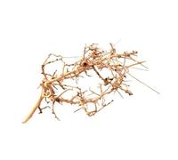 WabiFlur - Bois Minuscule Naturel pour Aquarium Nano Garden et Terrari - Recrée Un Ambinete Sauvage et Unique, Taille Moyenne pièce 15-20 cm