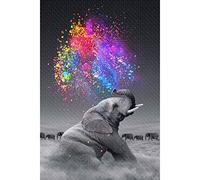 WACYDSD Puzzle 1000 pièces Éléphant Soufflant Un Arc-en-Ciel