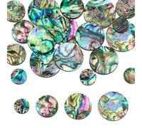 WADORN 4 tailles Coquille D'Ormeau Cabochons, 20 pièce 10/14/18/20mm Perles Rondes en Coquille Ormeau Naturel Sans Trou Amples Sans Trou Cabochons en Pierre Paua Colorée pour la Fabrication de Bijoux