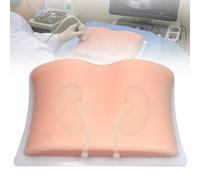 WADPP Modèle de Ponction Rénale Guidée par Ultrasons pour Formation PCNL Biopsie Néphrostomie Silicone Souple Simulateur Anatomique pour Enseignement Médical et Pratique Clinique