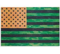 Waeta Rnvzx Affiche de Jasper Johns Drapeau mural Impression sur toile Tableau célèbre 50x70cm