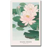 Waeta Rnvzx Peinture japonaise Koson Ohara Affiches Nénuphar Vintage Fleurs Toile Art mural Gravures sur bois Pour la maison Décor moderne Photo 40x60cm Sans cadre