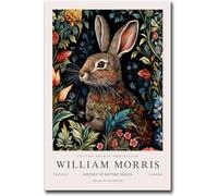 Waeta Rnvzx William Morris Affiche William Morris lapin Toile Peinture Vintage Botanique Fleur Murale Art Impressions Animaux Moderne Home Decor Photos 40x50cm Sans Cadre