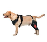 Wag Wize Knee Brace Harness for Dogs, Dog Knee Brace with Adjustable Support, Adjustable Support Non-Slip Joint Braces for Back Legs, 360° Wrapping, 4 Limb Wear, Improve Mobility (M)