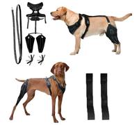 Wag Wize Knee Brace Harness for Dogs, Wagwize Dog Hip Brace, Dog Knee Brace with Adjustable Support, Metal Stabilization System, Joint Pain & Mobility Support (XL)