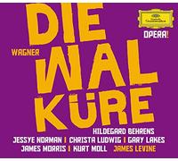Wagner : Die Walküre (La Walkyrie)
