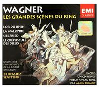 Wagner : les grandes scènes du Ring