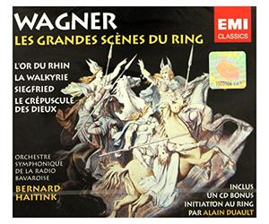 Wagner : les grandes scènes du Ring