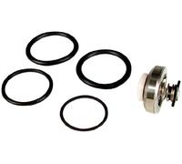 Wagner Spraytech 0515221 Joint de soupape d'admission