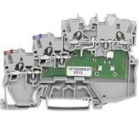 WAGO 2000-5311/1102-950 Borne pour capteur 7 mm ressort de traction gris 50 pc(s)