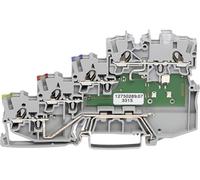 WAGO 2000-5410/1102-950 Borne pour capteur 7 mm ressort de traction gris 50 pc(s)