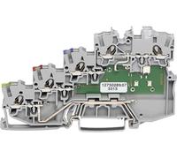 WAGO 2000-5417/1101-951 Borne pour capteur 7 mm ressort de traction gris 50 pc(s)