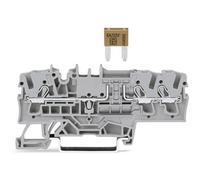 WAGO 2002-1781 Bloc de jonction à fusibles 5.20 mm Push-In gris 50 pc(s)