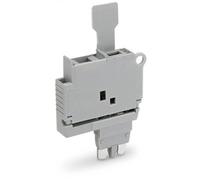 WAGO 2004-911/1000-867 Connecteur à fusible gris 50 pc(s)