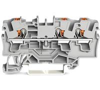 WAGO 2204-1301 Borne de passage 6.20 mm Push-In gris 50 pc(s)