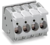 WAGO 2716-152/000-016 Borne pour circuits imprimés 16 mm² Nombre de pôles 2 vert-jaune 1 pc(s)