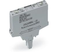 WAGO 286-364/004-000 Relais enfichable 24 V/DC 1 NO (T) 1 pc(s)