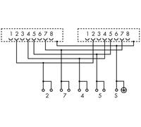 WAGO 289-966 Module interface avec connexion RJ-45 et étrier de serrage de blindage Contenu: 5 pc(s)