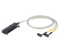 WAGO 706-2500/102-100 Câble de raccordement 1 pc(s)