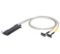 WAGO 706-2500/305-100 Câble de raccordement 1 pc(s)