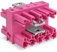 WAGO 770-1746/080-000 Connecteur WINSTA MIDI mâle, droit Nombre total de pôles: 5 25 A rose 25 pc(s)