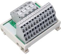 WAGO 830-800/000-306 Module de répartiteur de potentiel 6 pc(s)