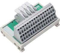 WAGO 830-800/000-317 Module de répartiteur de potentiel 6 pc(s)