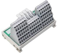 WAGO 830-800/000-318 Module de répartiteur de potentiel 3 pc(s)