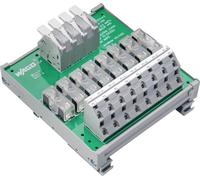 WAGO 830-800/000-319 Module de répartiteur de potentiel 3 pc(s)