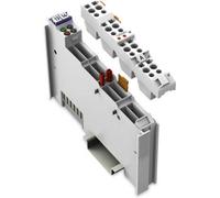 WAGO API - Module de sortie analogique 753-555 1 pc(s)