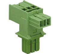 WAGO Distributeur en T Alimentation mâle - Alimentation femelle, Alimentation femelle Nombre total de pôles: 2 vert 1 pc(s)