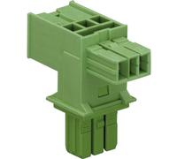 WAGO Distributeur en T Alimentation mâle - Alimentation femelle, Alimentation femelle Nombre total de pôles: 2 vert 1 pc(s)