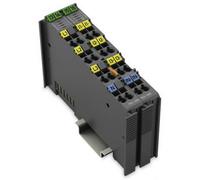 WAGO Mesure de performance 3 phases SPS 750-495/040-000 1 pc(s)