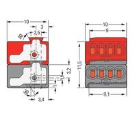 Wago Micro Bus System connecting Terminal - 243-211 [50 Pieces]