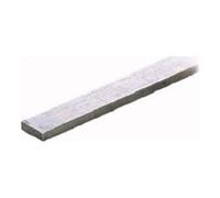 Wago Rail de collecte N 10 x 3 mm 1000 mm